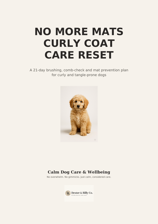 Cover image for Dexter and Billy Co.'s No More Mats Curly Coat Care Reset digital download, featuring a clean, professional design.