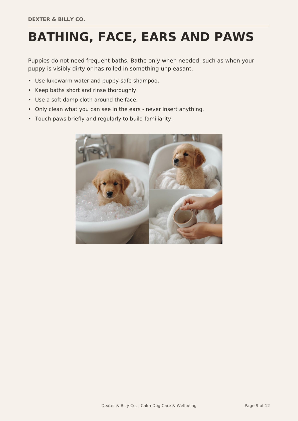Free Puppy Grooming Starter Guide