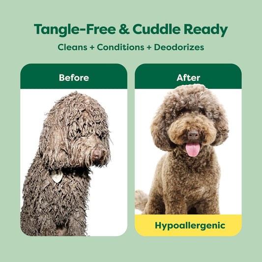 Earth Rated 3-in-1 dog shampoo and conditioner bottle, 473ml, with a label showing natural ingredients for detangling and grooming.