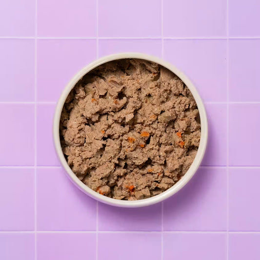 Full bowl of Pooch & Mutt Health & Digestion Complete wet dog food in a pet bowl, showcasing the nutritious dog food for healthy digestion.