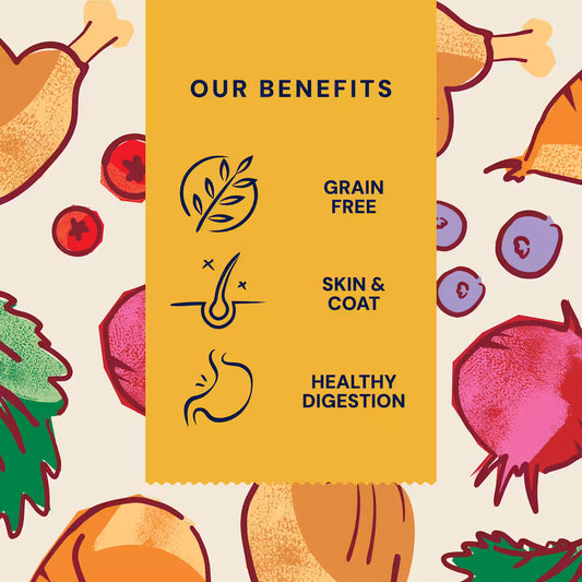 Pooch & Mutt Small Dog Complete Superfood dry dog food in a bag, featuring natural ingredients and superfoods for adult small dogs.