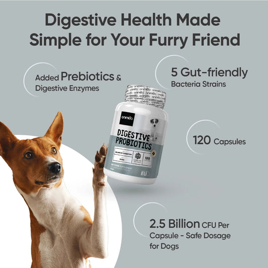 Animigo Digestive Probiotics for Dogs in a bottle of 120 capsules, natural supplement to support canine digestive health