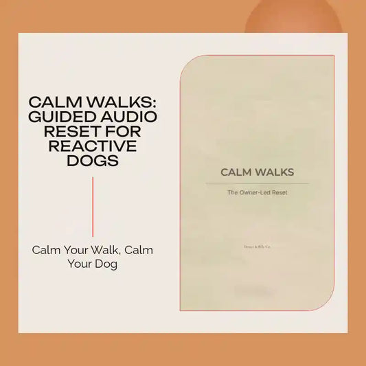 Calm Walks: Guided Audio Reset for Reactive Dogs by@Outfy
