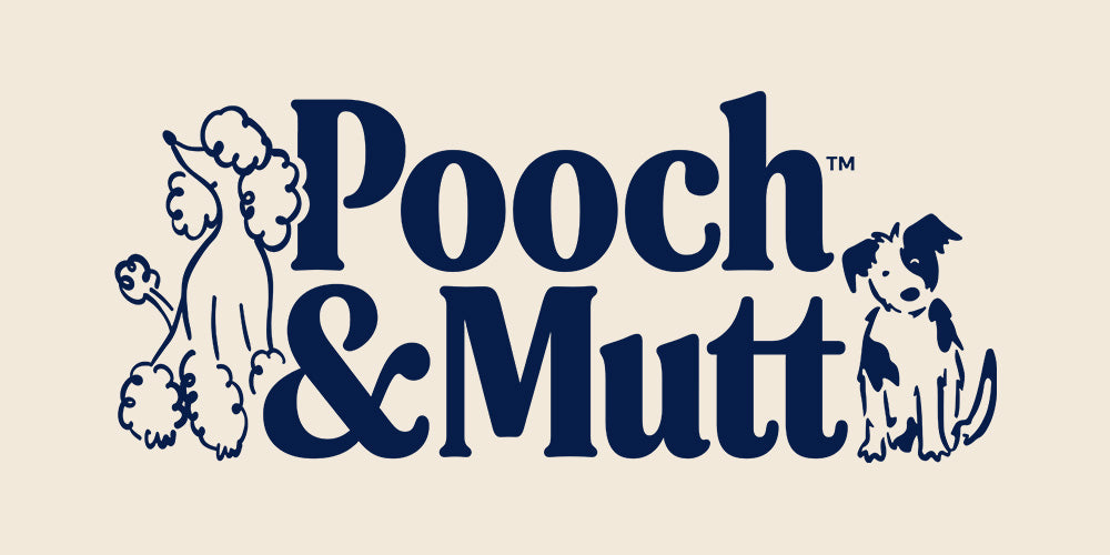 Pooch & Mutt Deals – Exclusive Offers, Discount Codes & Our Favourite Picks