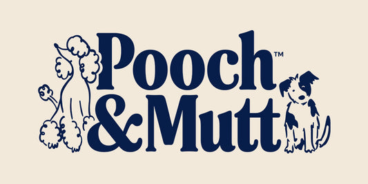 Pooch & Mutt Deals – Exclusive Offers, Discount Codes & Our Favourite Picks