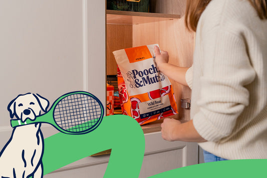 Pooch & Mutt Wimbledon Sale – 25% off sitewide with code GAMESET25