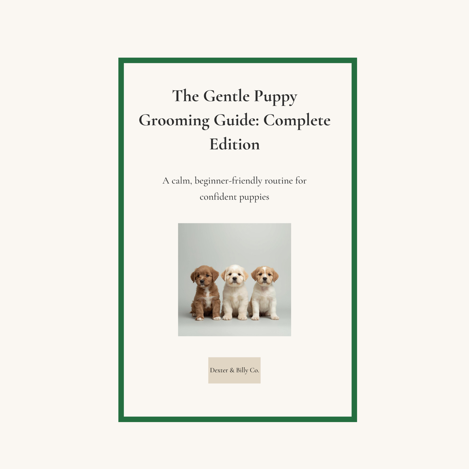 Puppy Care