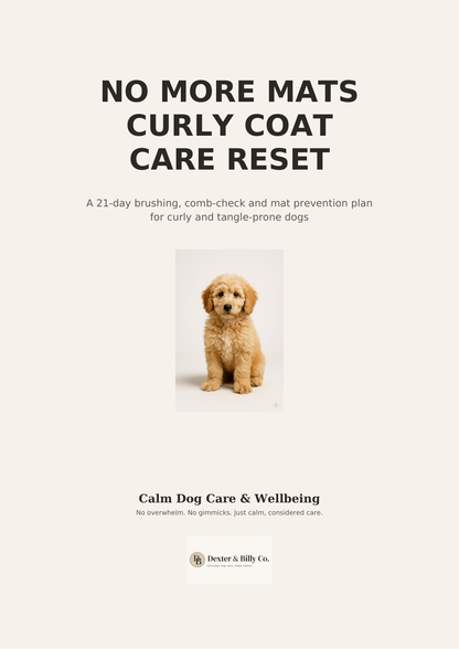 No More Mats: Curly Coat Care Reset