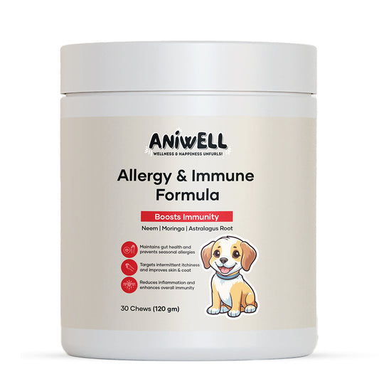 Aniwell dog supplement chews with neem, moringa, and turmeric for allergy support and immune health, shown in a close-up image.