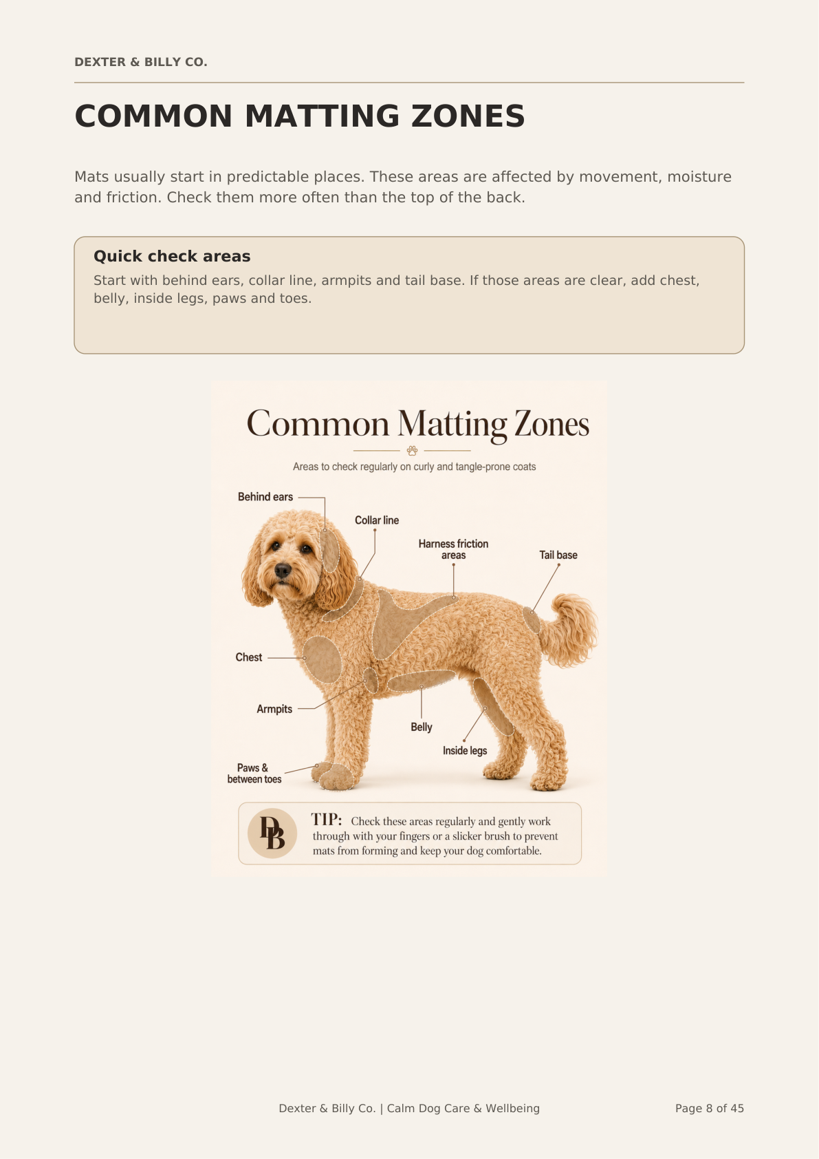 No More Mats: Curly Coat Care Reset