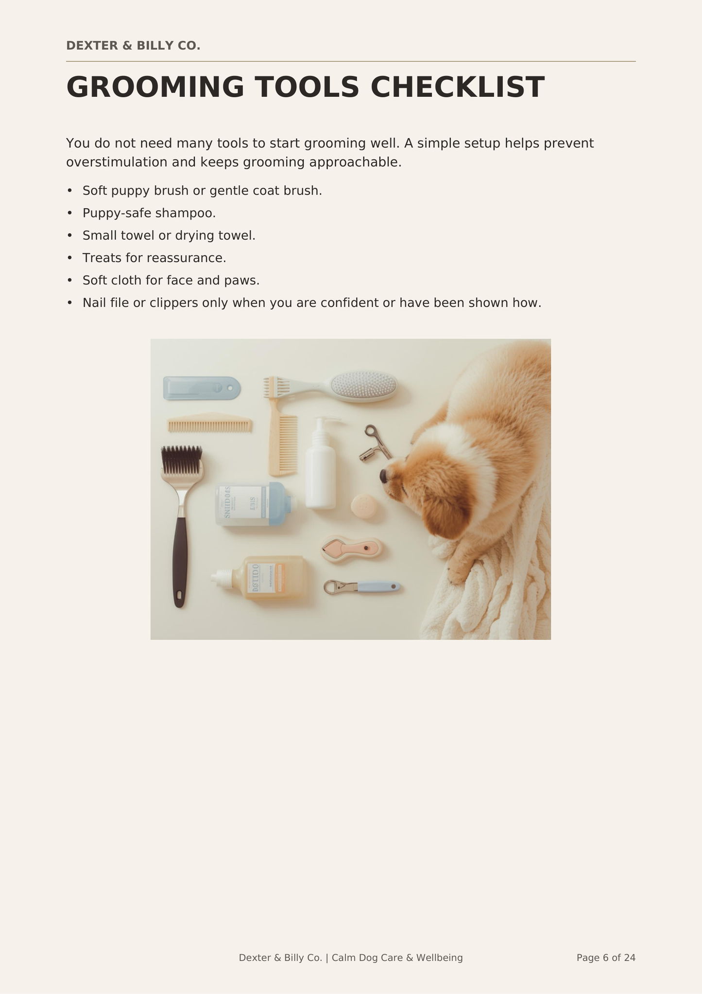 The Gentle Puppy Grooming Confidence Guide