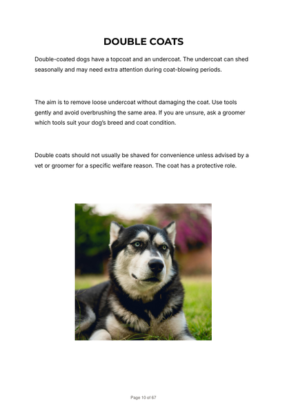 Page from Dexter And Billy Co.'s digital guide on grooming and caring for double coats in dogs, showing coat types and grooming tips.