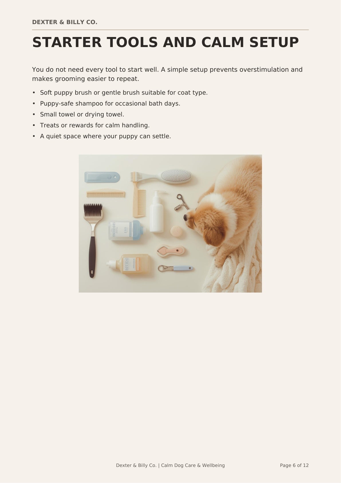 Free Puppy Grooming Starter Guide