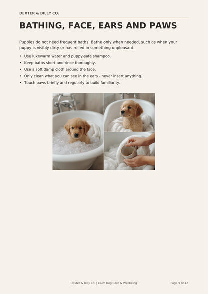 Free Puppy Grooming Starter Guide