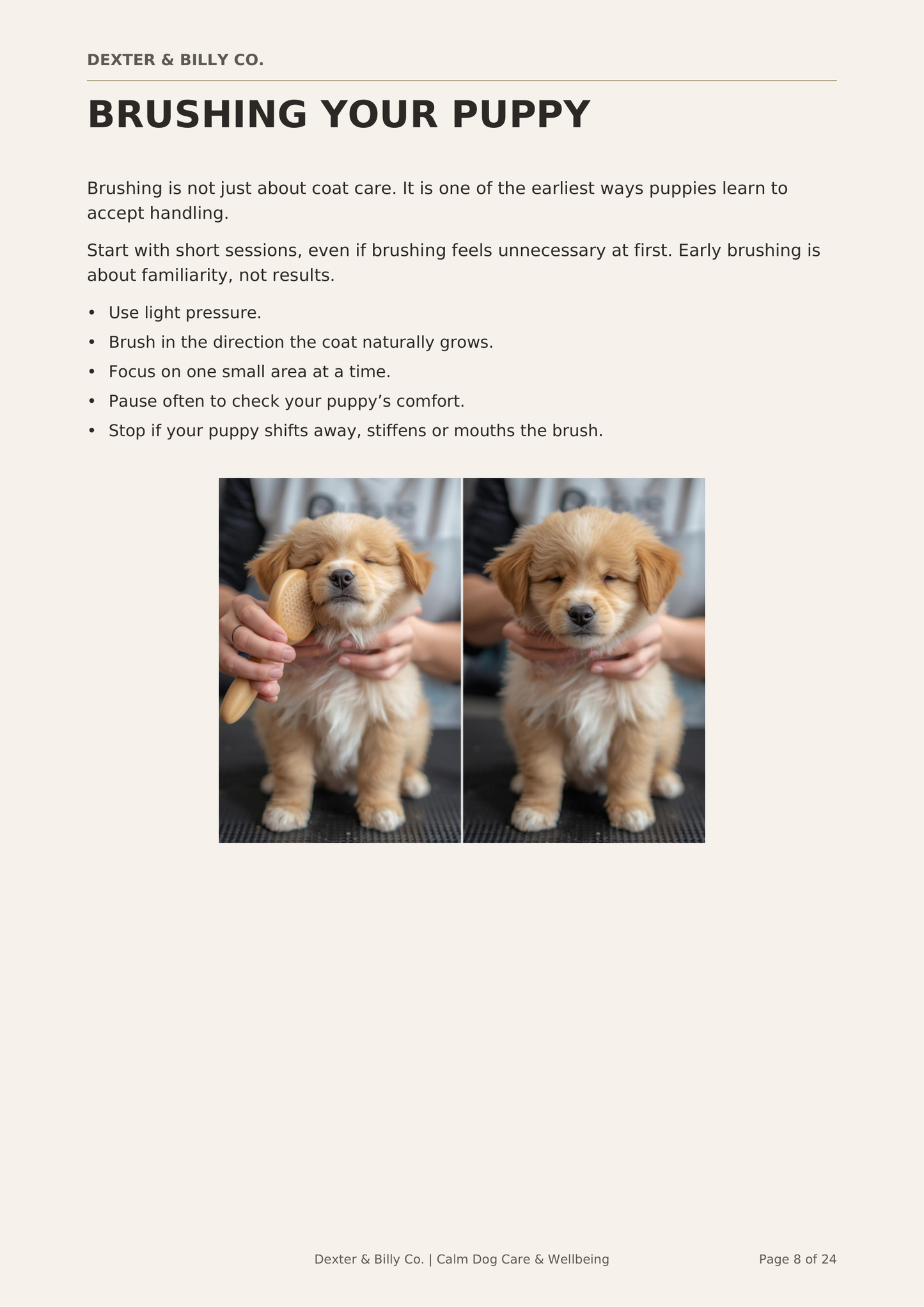 The Gentle Puppy Grooming Confidence Guide
