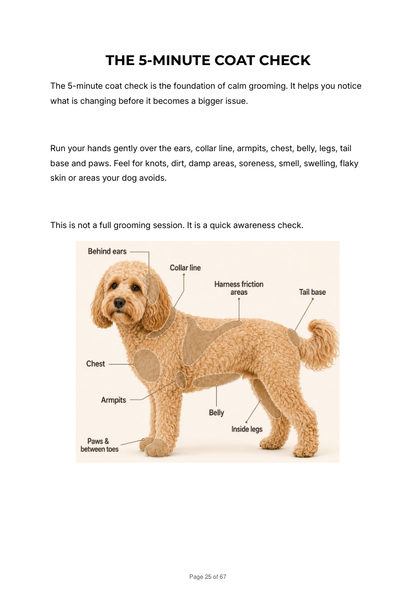 Digital download of the Calm Dog Grooming & Coat Care Guide by Dexter And Billy Co., showing a 5-minute coat check page.