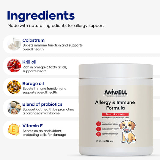 Dog supplements Aniwell Allergy & Immune Formula chews with neem, moringa, and turmeric for immune support and allergy relief.