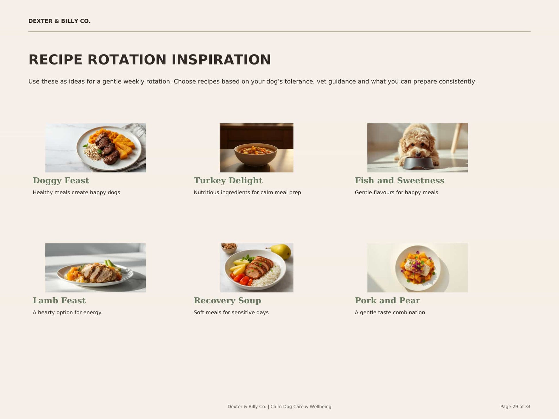 Digital download of The Gentle Dog Meal Planner & Sensitive Tummy Recipe Book by Dexter And Billy Co. showing dog food recipes.