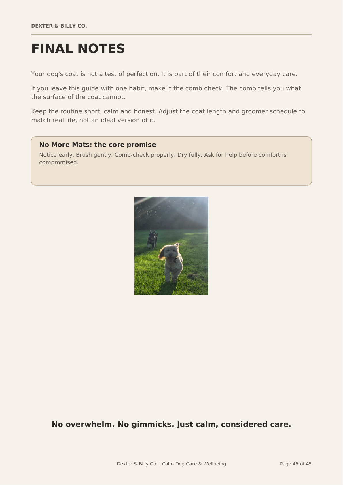 No More Mats: Curly Coat Care Reset