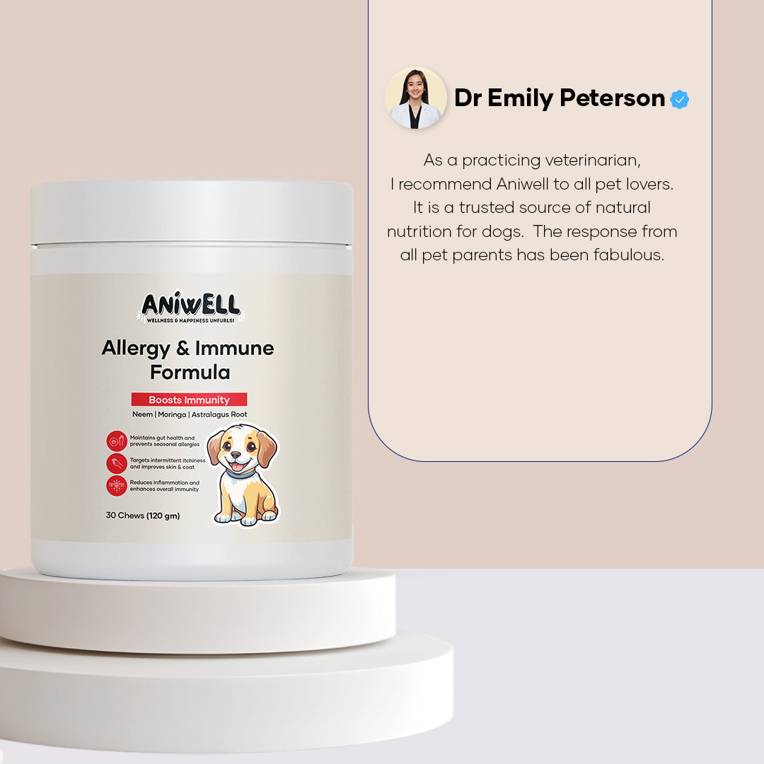 Aniwell dog supplement chews with neem, moringa, and turmeric for allergy support and immune health.