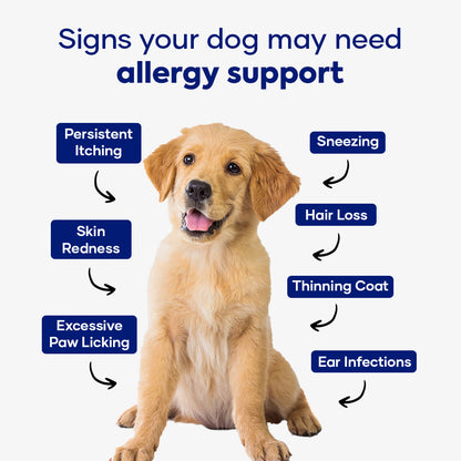 Aniwell dog supplements featuring Neem, Moringa, and Turmeric chews for allergy relief and immune support.