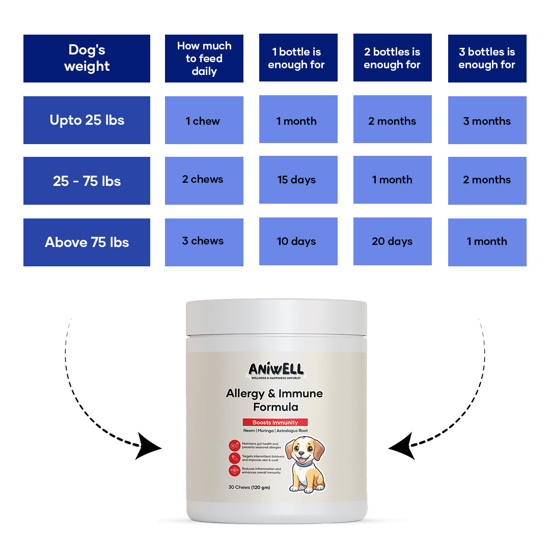 Aniwell dog supplement chews with neem, moringa, and turmeric for allergy relief and immune support, shown in the image.