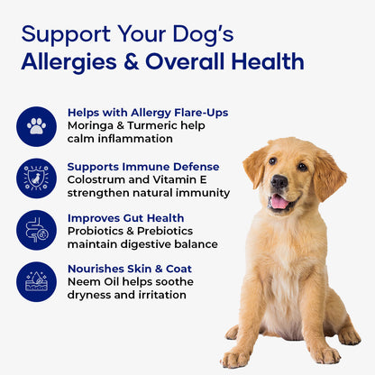 Aniwell dog supplement chews with neem, moringa, and turmeric for allergy relief and immune support.