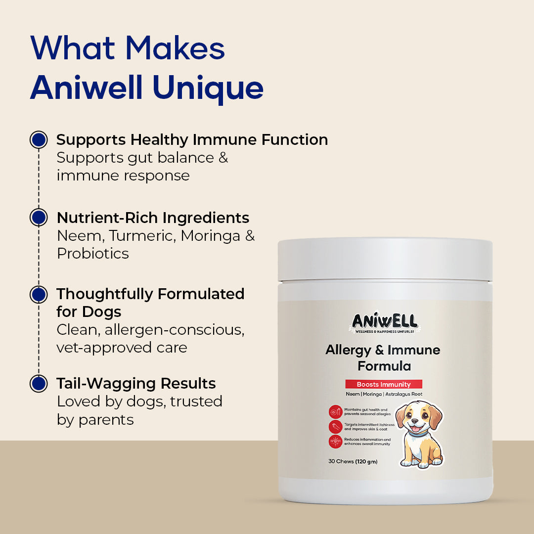 Aniwell Dog Supplements featuring Aniwell Allergy & Immune Formula chews with neem, moringa, and turmeric for immune support.
