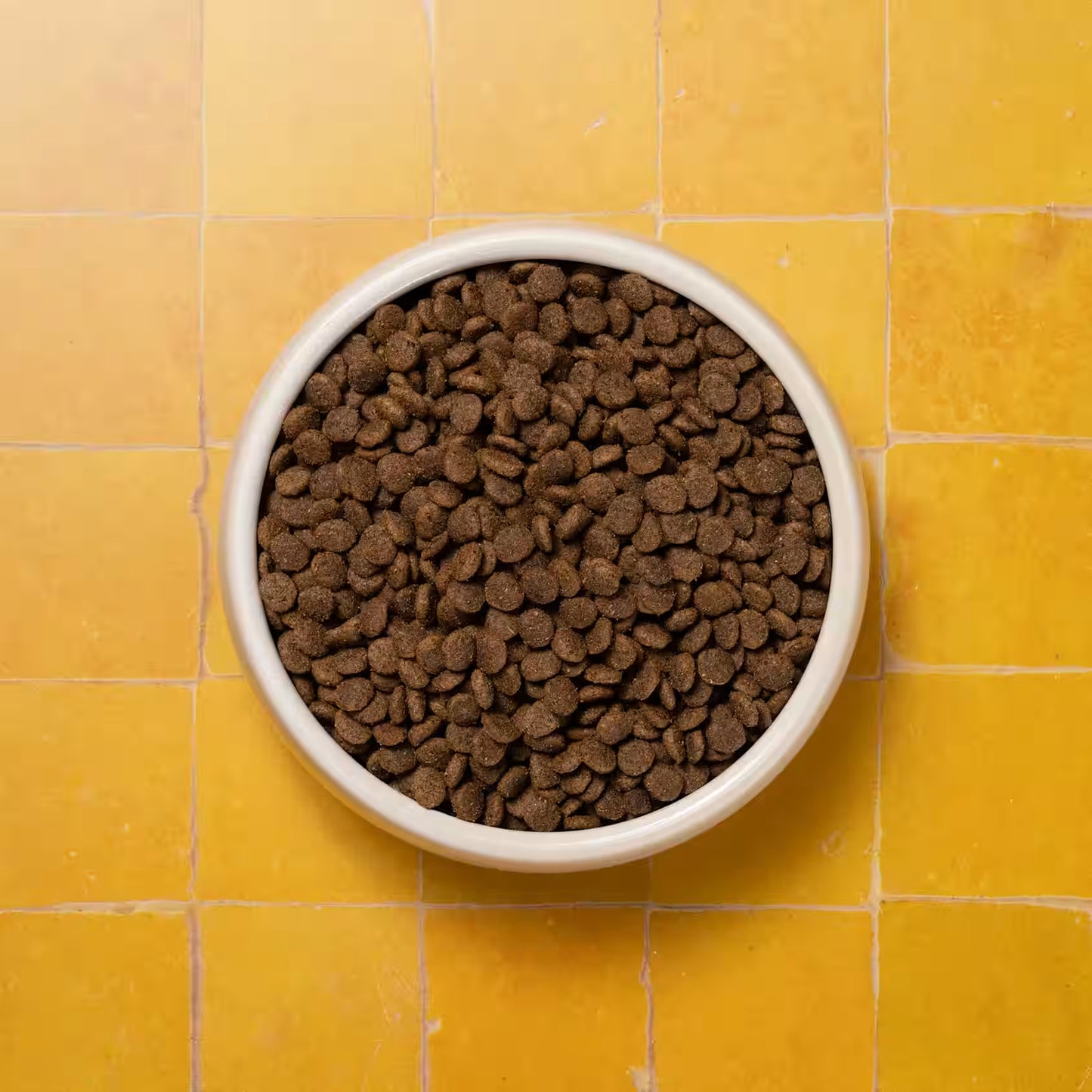 Small dog Pooch & Mutt Complete Superfood in a bowl, featuring healthy ingredients for adult dogs.