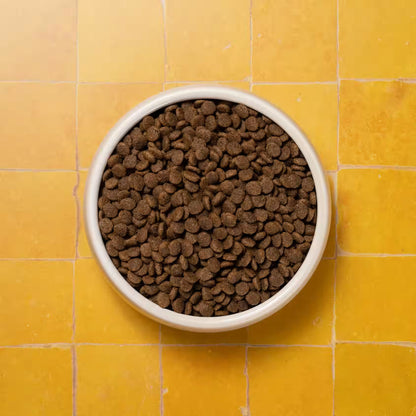 Small dog Pooch & Mutt Complete Superfood in a bowl, featuring healthy ingredients for adult dogs.
