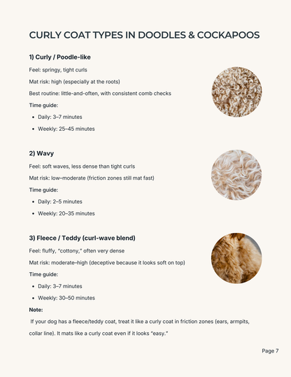 The Cockapoo & Doodle Grooming Premium Guide (Digital Download)