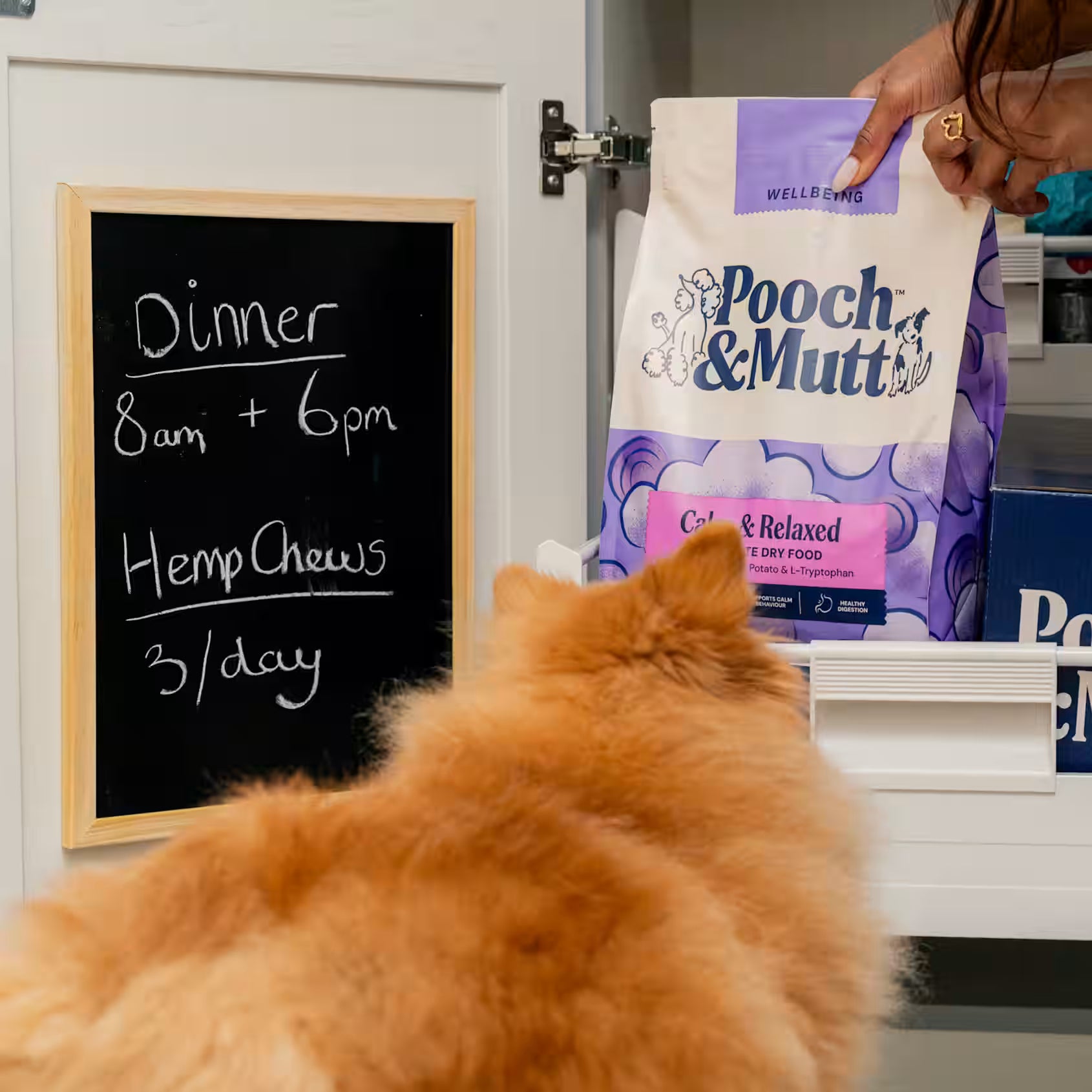 Pooch & Mutt Calm & Relaxed Dry Dog Food – 10kg - Dexter And Billy Co.