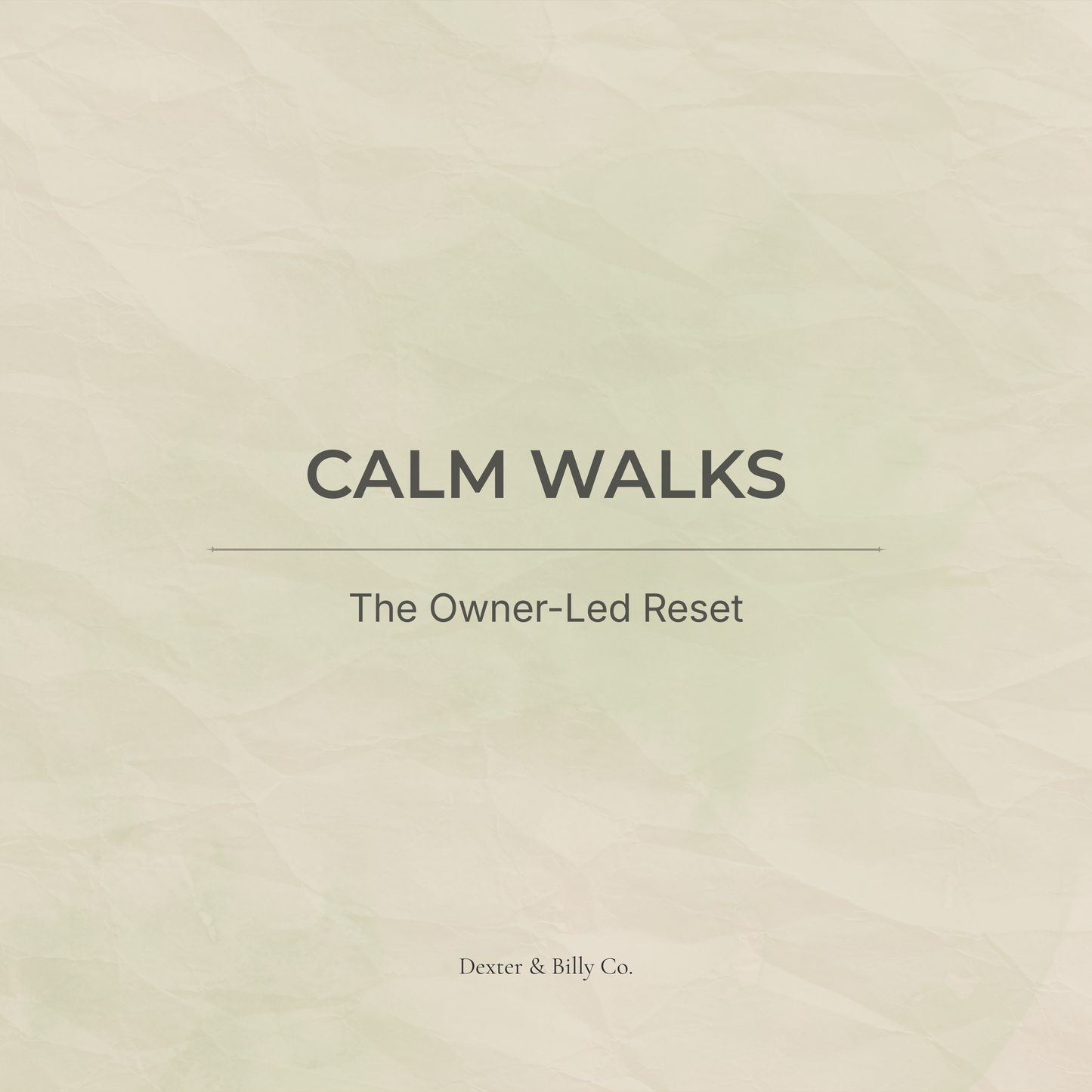 Calm Walks: The Owner-Led Reset (Audio Pack) - Dexter And Billy Co.