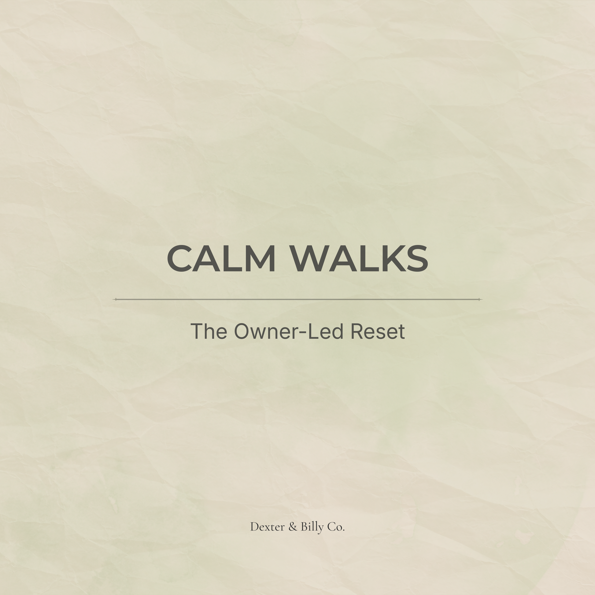 Calm Walks: The Owner-Led Reset (Audio Pack) - Dexter And Billy Co.
