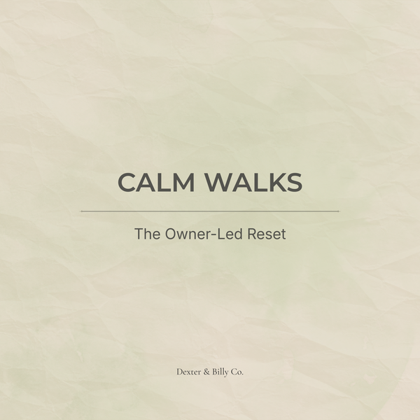 Calm Walks: The Owner-Led Reset (Audio Pack) - Dexter And Billy Co.
