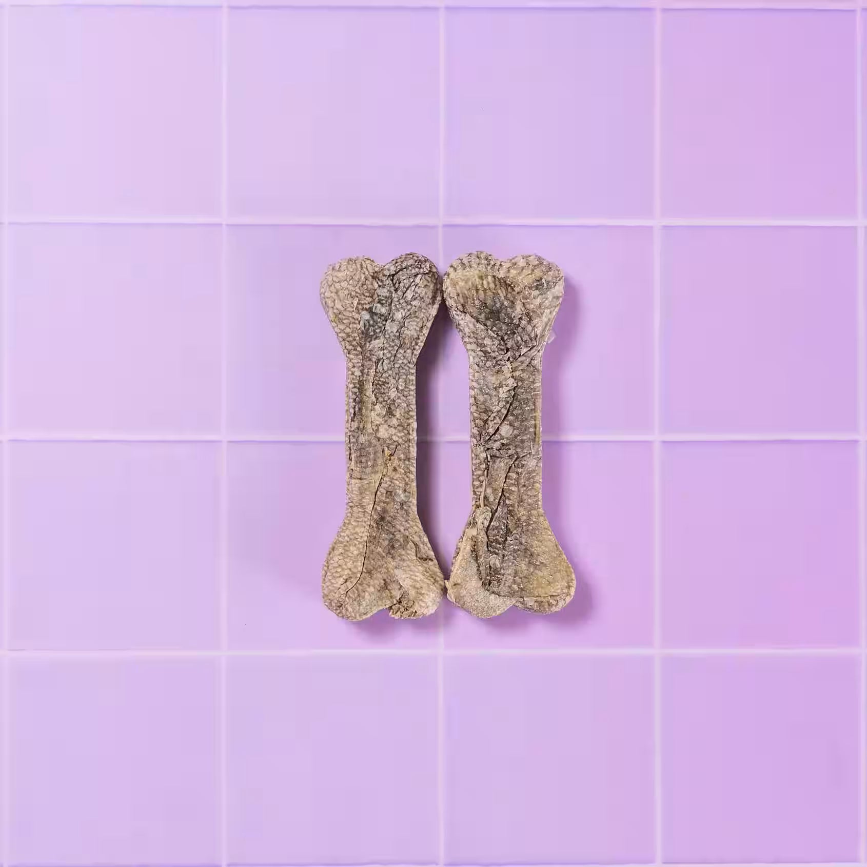 Pooch & Mutt Fish Hide Dog Treats, healthy chews for digestion, shown in a 90g package with fish hide treats on a white background.