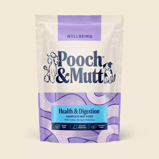 Pooch & Mutt Health & Digestion Complete Wet Dog Food in a bowl, showing nutritious ingredients for canine digestion and health.