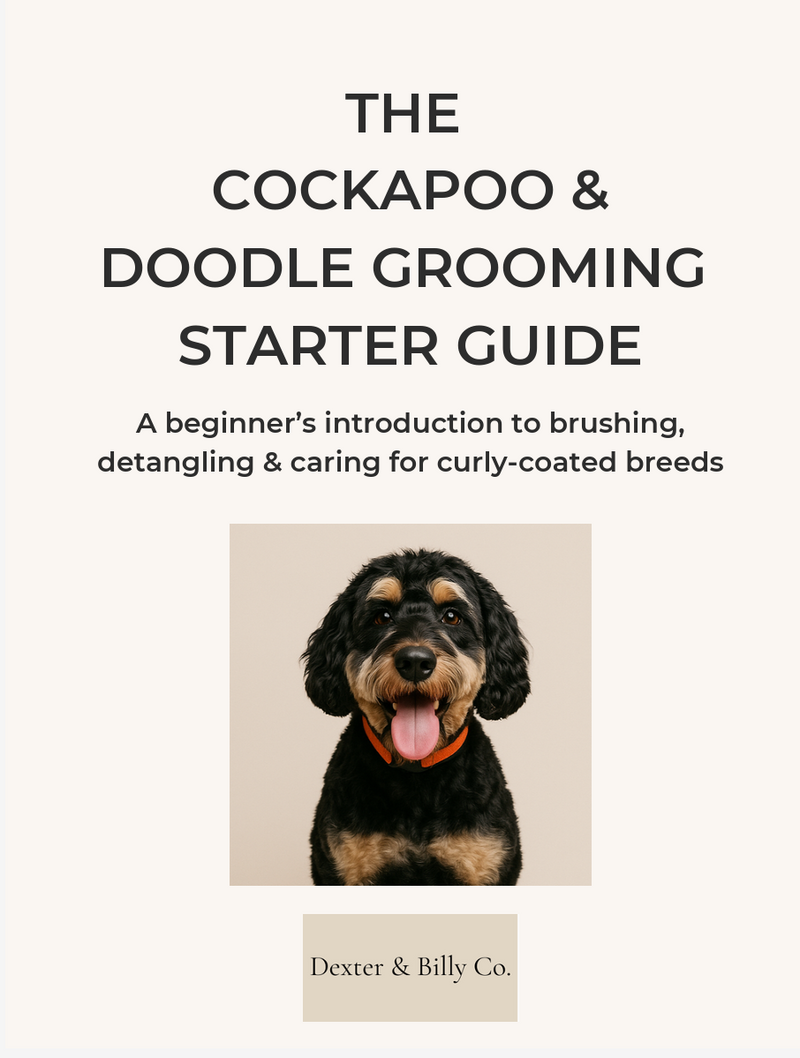 Book cover of 'The Cockapoo & Doodle Grooming Starter Guide' with a dog photo and text.