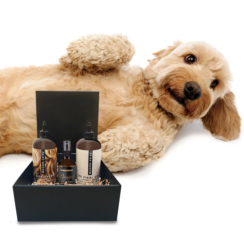 Pride + Groom Luxe Gift Set for dogs, includes premium grooming products in elegant packaging, ideal for pet care.