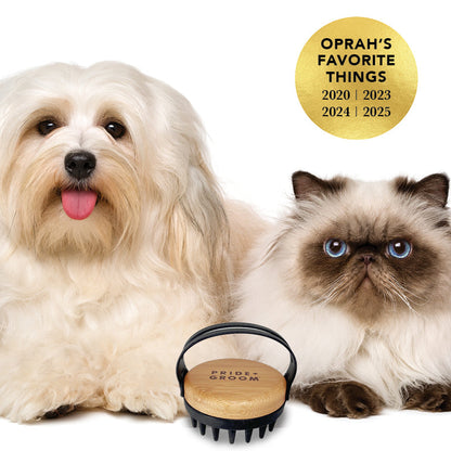 Silicone dog grooming brush from Pride + Groom The Bath Brush, showing soft silicone bristles for gentle pet cleaning.