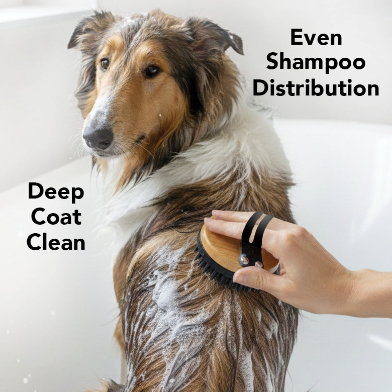 Silicone dog grooming brush from Pride + Groom, designed for gentle and effective pet bathing and grooming.