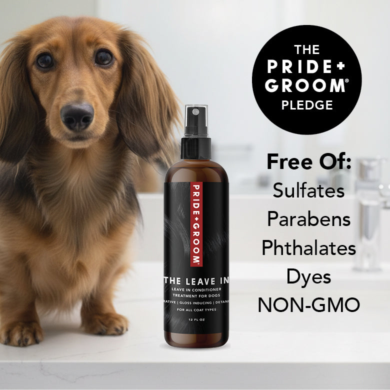Pride + Groom The Leave In detangling spray for dogs and cats, shown in a spray bottle with a dog and cat grooming scene.