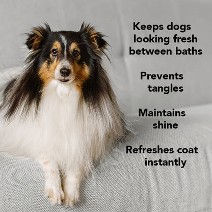 Pride + Groom The Leave In detangling spray for dogs and cats, shows a spray bottle with a white and blue label, on a grooming table.
