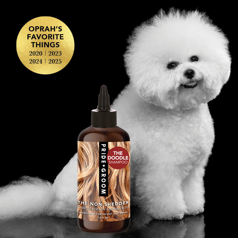 Pride + Groom The Non Shedder Dog Shampoo for Poodles, Doodles, and curly coats, showing a bottle of dog shampoo on a white background.