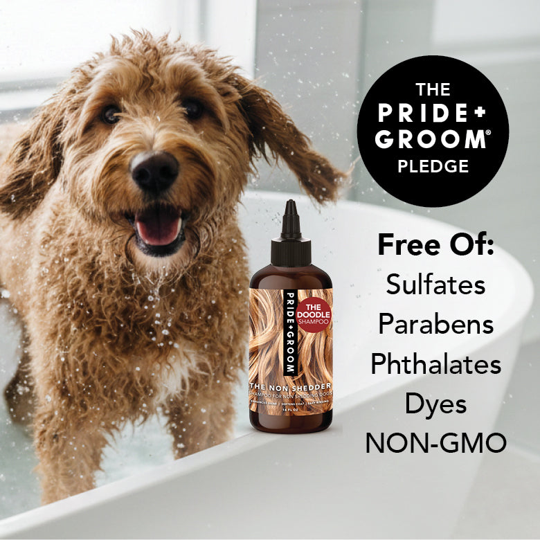 Pride + Groom The Non Sheder dog shampoo bottle with curly-coated poodle on the label, ideal for poodles, doodles, and curly coats.