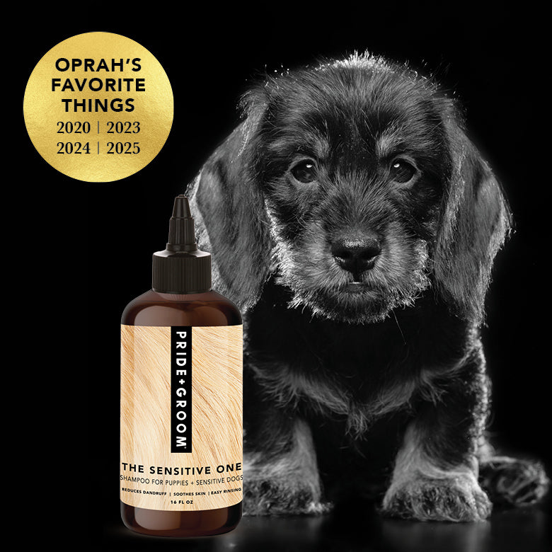 Pride + Groom The Sensitive One hypoallergenic dog shampoo bottle with label, suitable for puppies and sensitive skin.