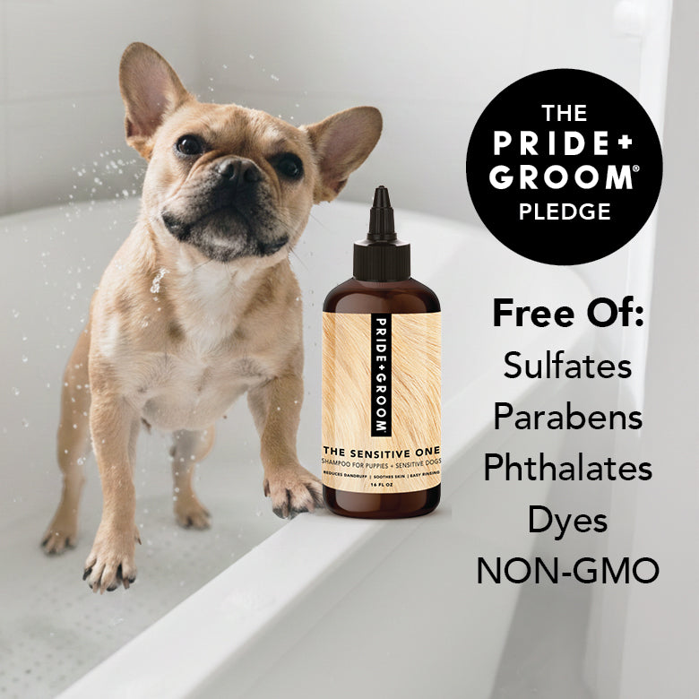 Pride + Groom The Sensitive One hypoallergenic dog shampoo bottle with label, suitable for puppies and sensitive skin.