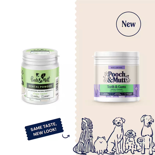 Pooch & Mutt Dog Dental Powder 100g, natural supplement for teeth and gum health, shown in a clear image with packaging.