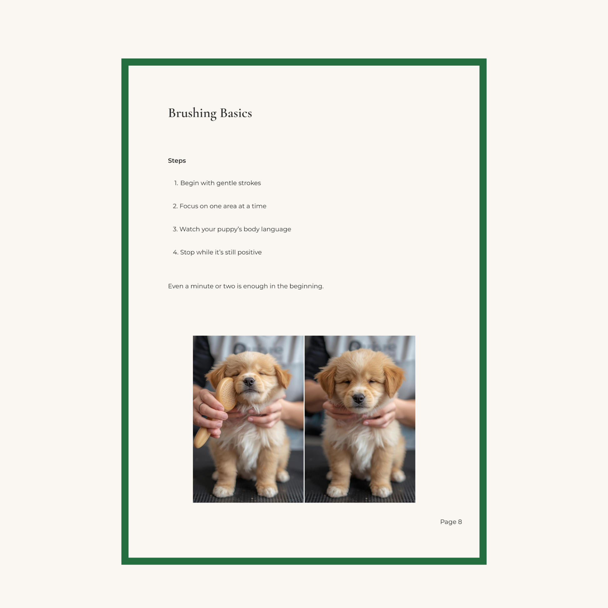 The Gentle Puppy Grooming Guide – Complete Edition (PDF) A stress-free, step-by-step grooming system for puppies - Dexter And Billy Co.