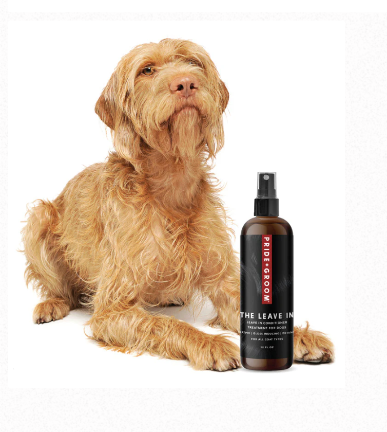 Pride + Groom THE LEAVE IN detangling spray for dogs and cats, featuring a spray bottle with the product label visible.